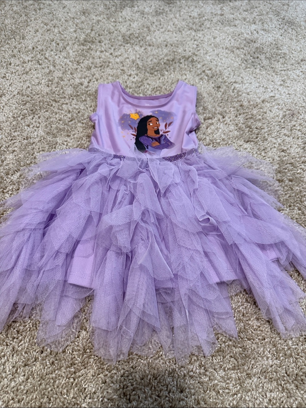 Purple Tulle Princess Dress with Character